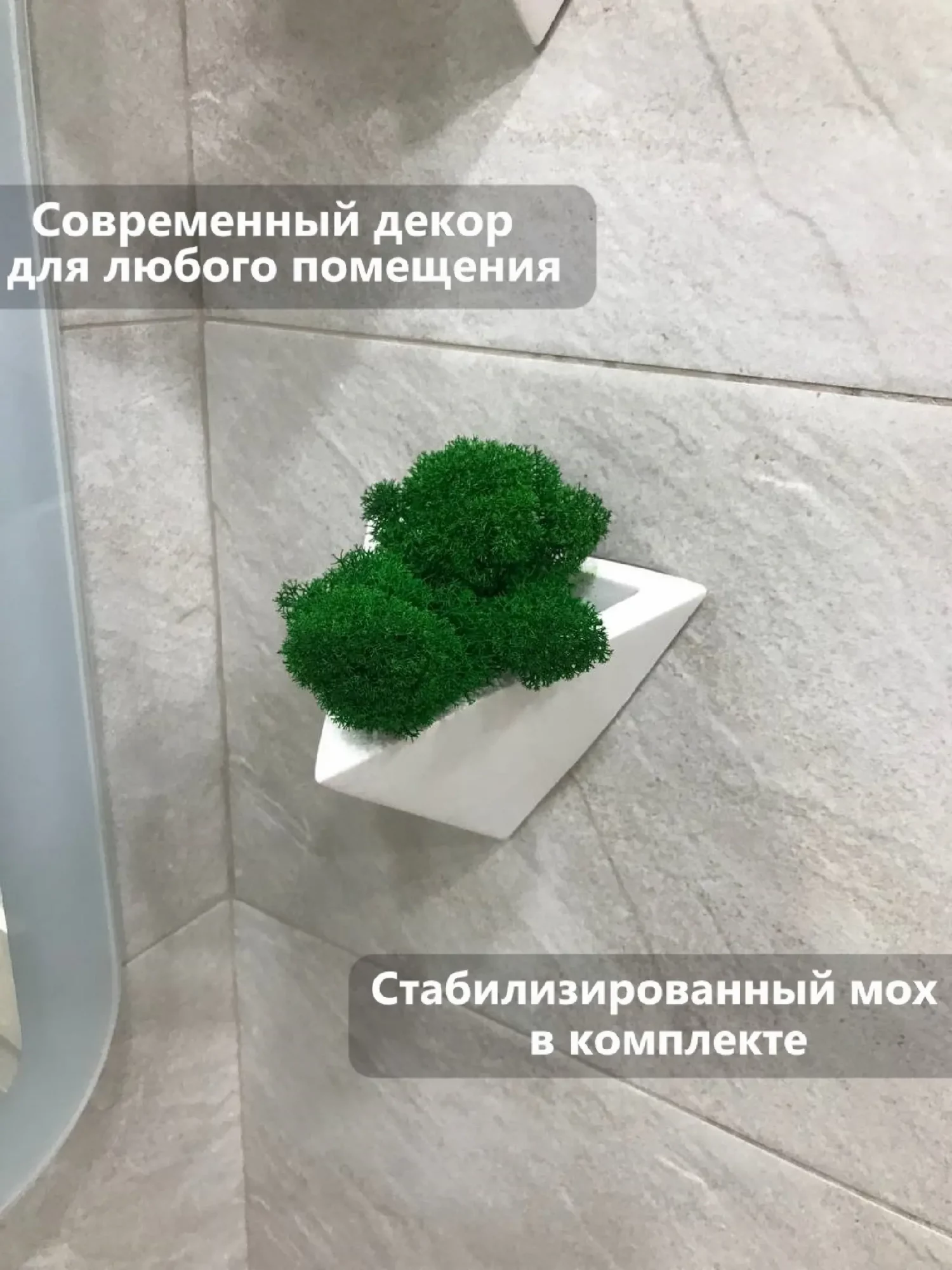 Настенный декор со мхом — фото 2